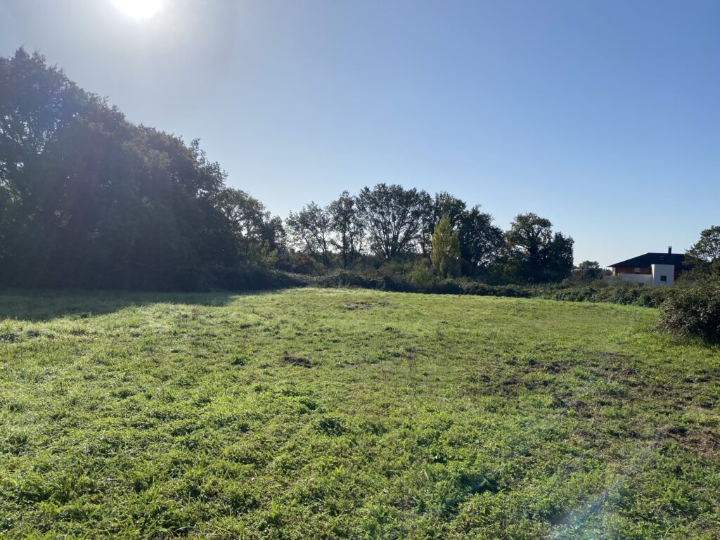 Bien: Terrain constructible à Vendre à VANNES